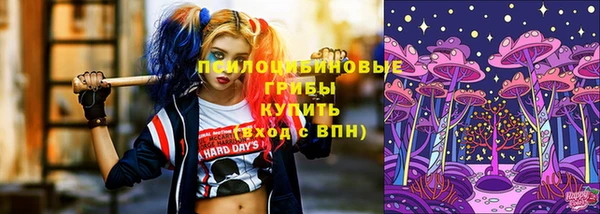 а пвп мука Новозыбков
