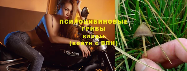 СК Новокубанск
